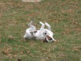 /album/fotogaleria/kamnny-mlyn-29-30-11-2011-024-jpg/